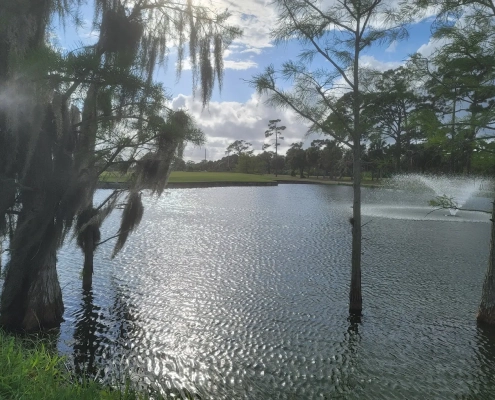 Golf course pond with a fountain, framed by cypress trees draped in Spanish moss